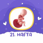 21. hafta gebelik