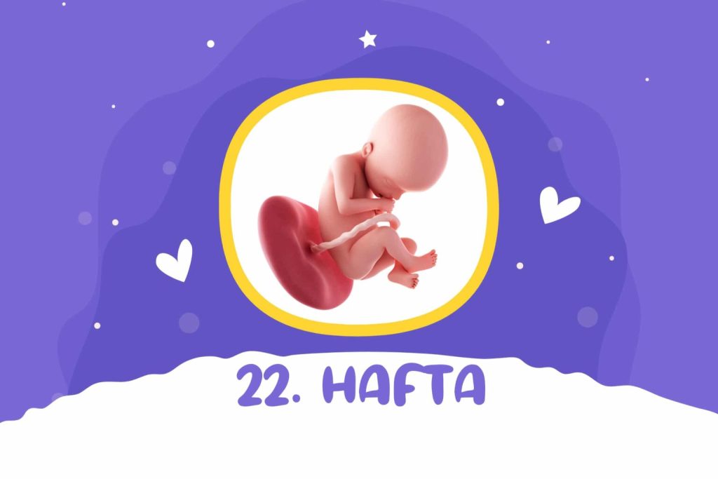 22. hafta gebelik