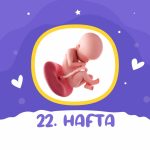22. hafta gebelik