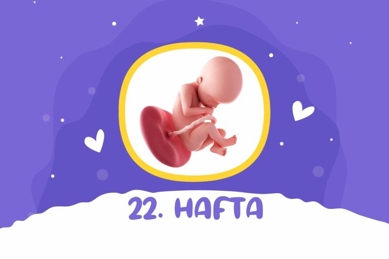 22. hafta gebelik