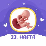 23. hafta gebelik