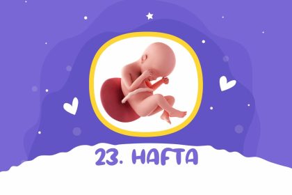 23. hafta gebelik