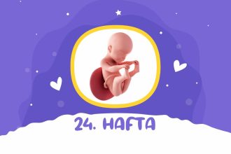 24. hafta gebelik