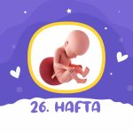 26. hafta gebelik