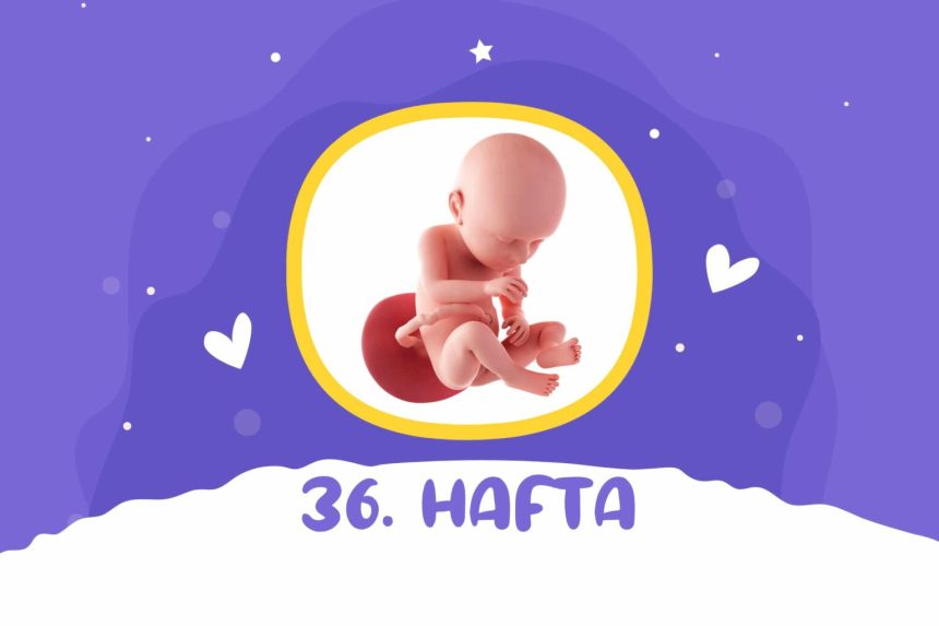 36 Haftalık Gebelik